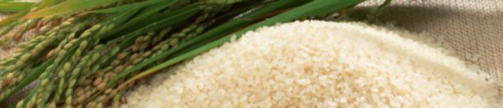 Quarra Rice